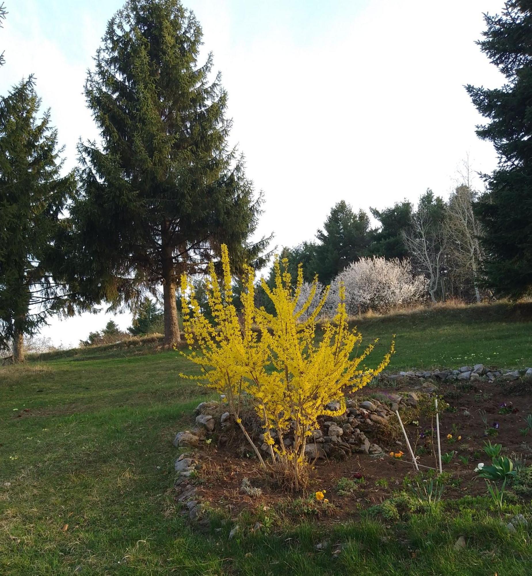 Apartmani Planinska Kuca, Jagodnja Krupanj ภายนอก รูปภาพ