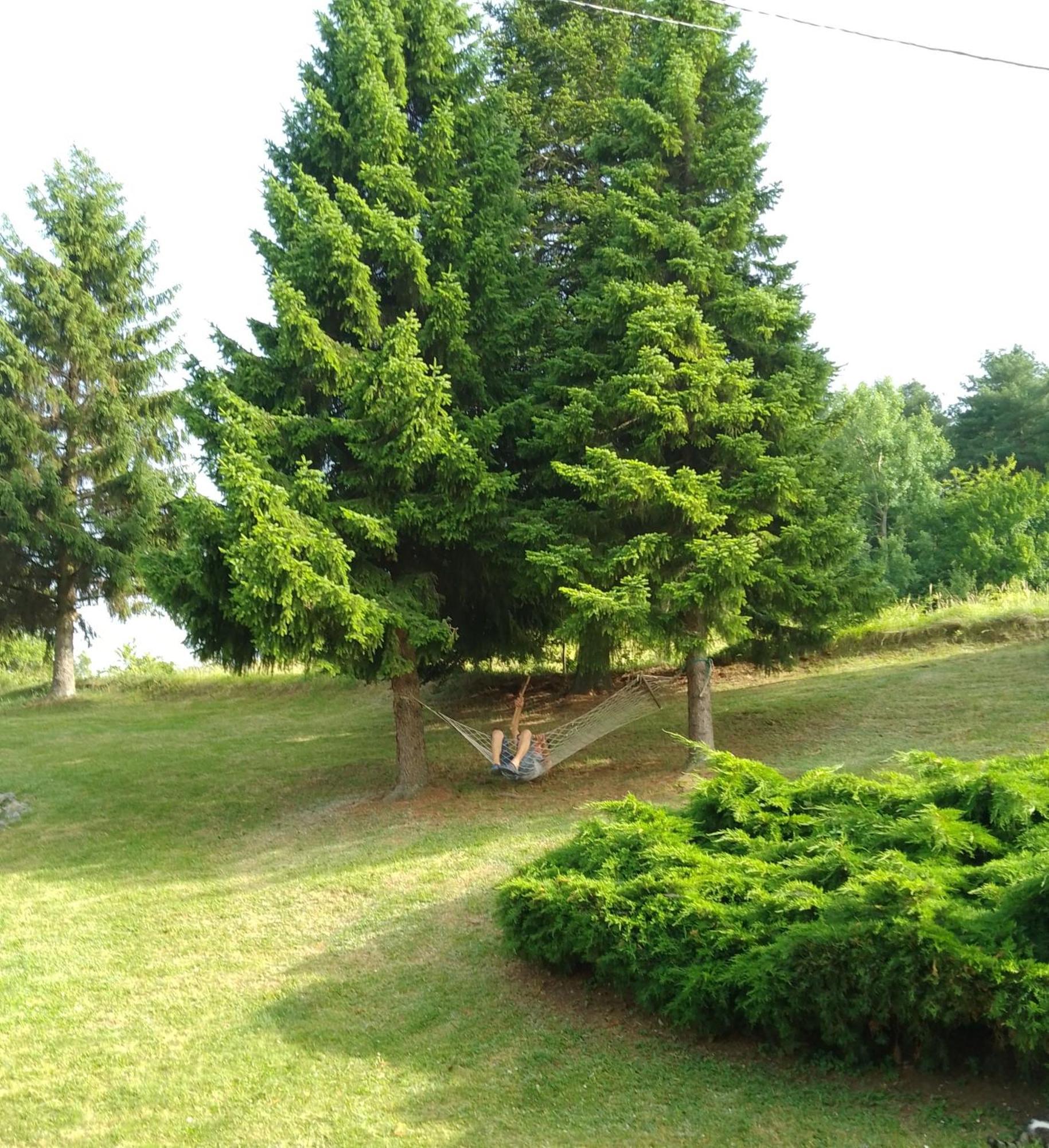 Apartmani Planinska Kuca, Jagodnja Krupanj ภายนอก รูปภาพ